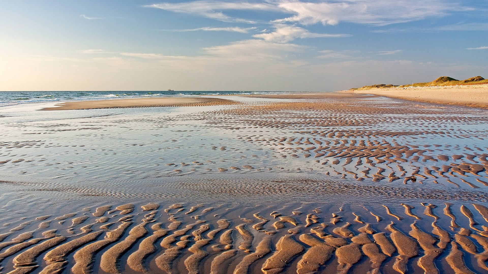 Blick auf das Watt im Hintergrund Strand